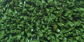 Искусственная трава Sporting Fibro 20mm Fibro 20mm фото 1 | FLOORDEALER